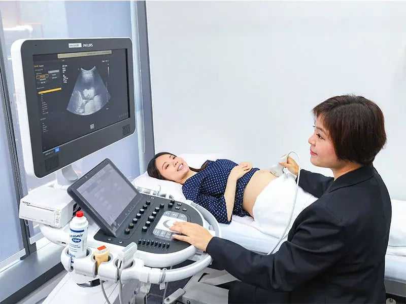 马来西亚第四代代生网好公司费用大概多少(马来西亚代生网好公司医院推荐)